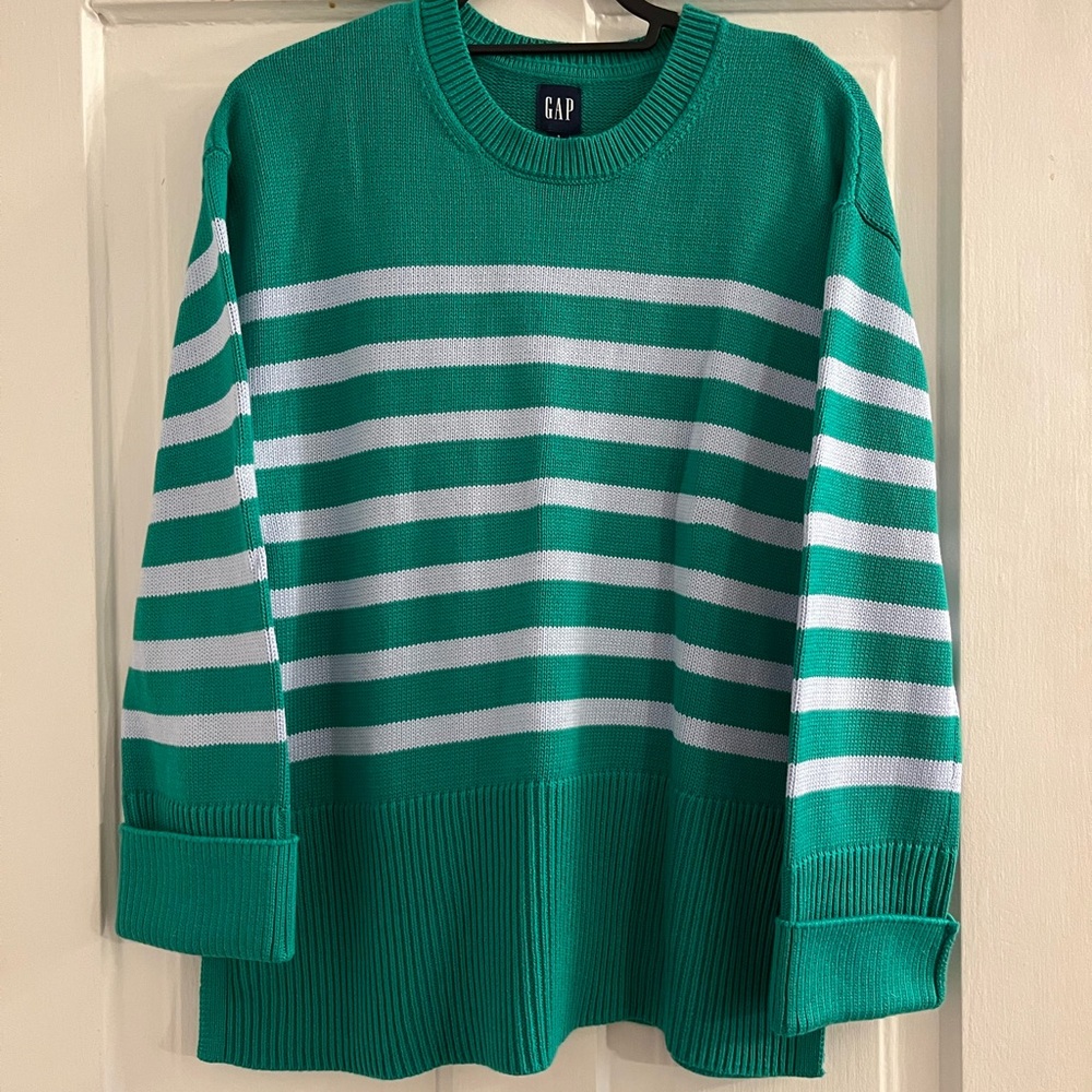 GAP Green & Light Blue Sweater